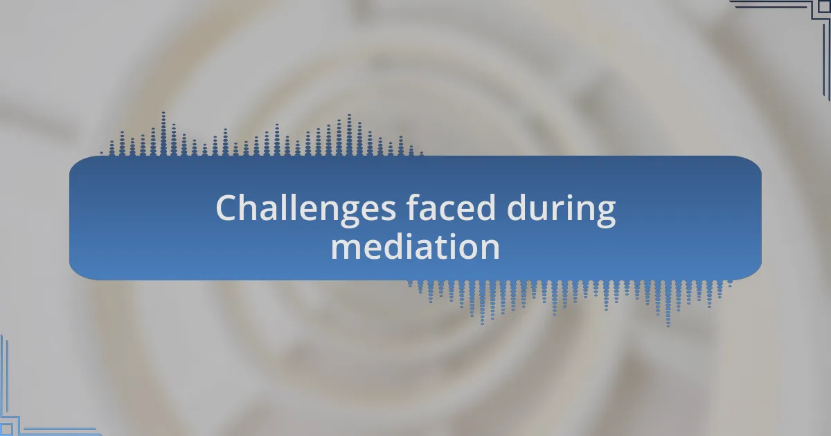 Challenges faced during mediation
