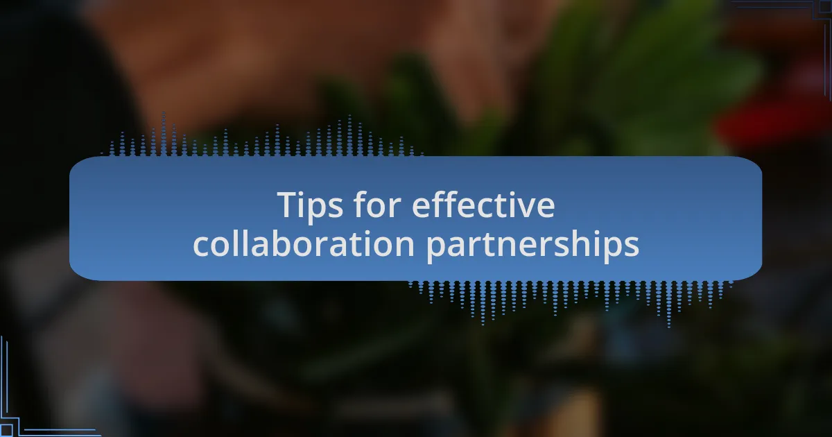 Tips for effective collaboration partnerships